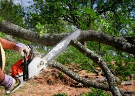 Lawn Drainage Solutions in Haskell, TX